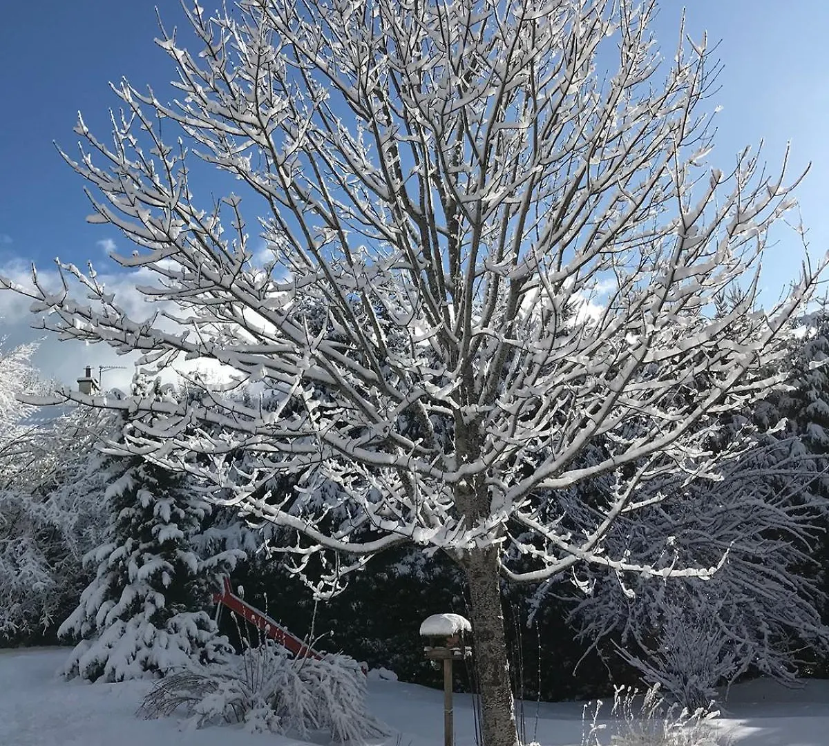 Apartment Le Tintinnabule Villard-de-Lans France