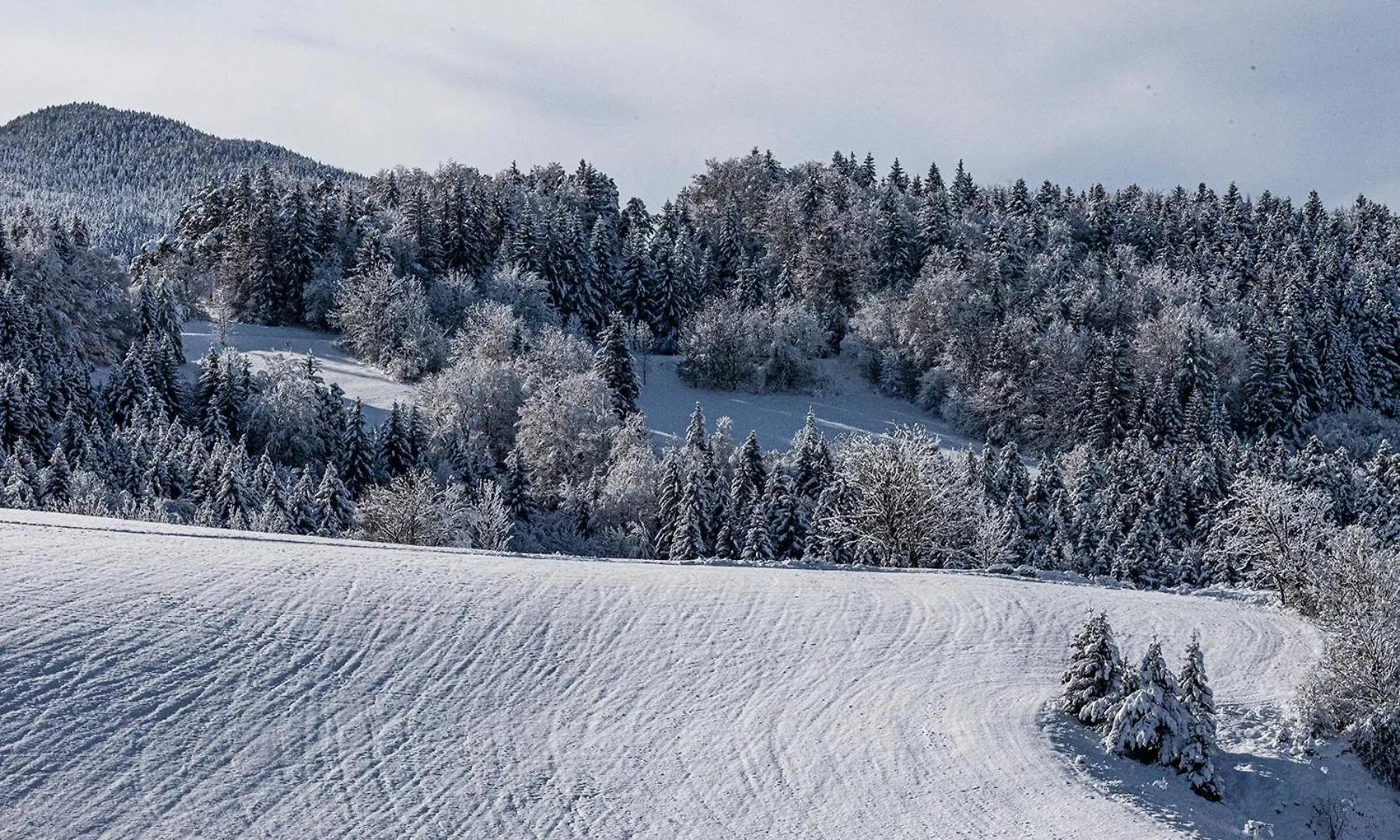 Le Tintinnabule Villard-de-Lans 0*,  France